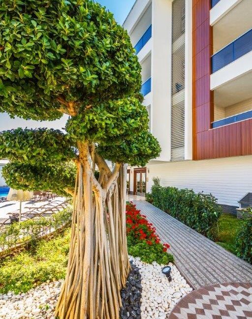 3747de2d-9c1a-4822-b7b3-de6579077a03