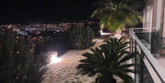 Two detached villas for the price of one in Gazipaşa